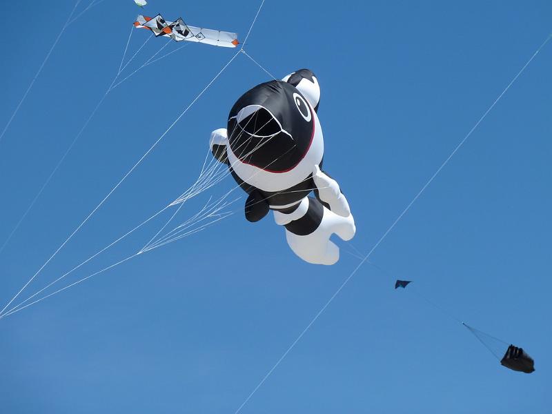 Fanø 2010 045.JPG